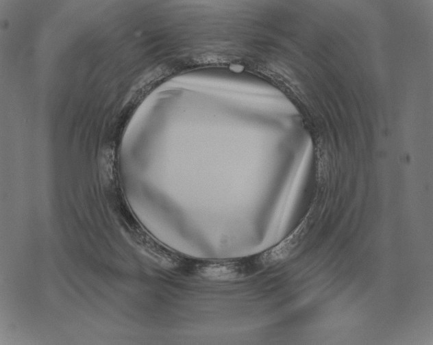 X0000073540171200608211904