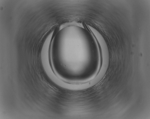 X0000073540172200608211904