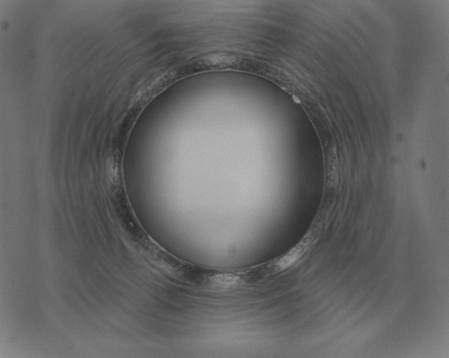 X0000073540176200608211904