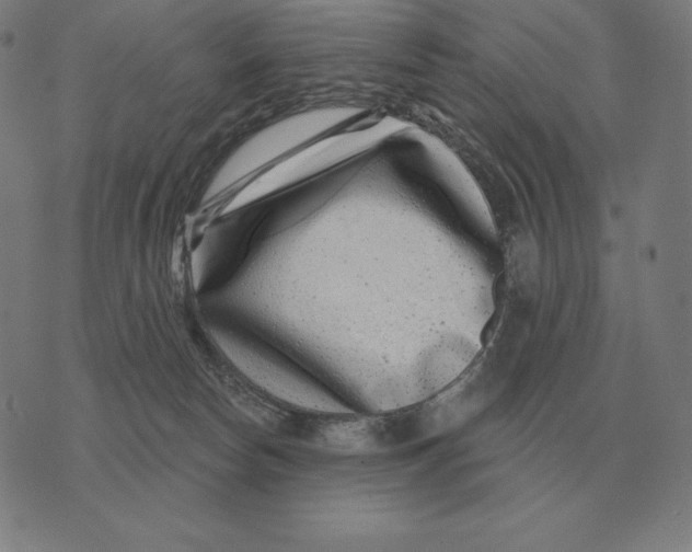X0000073540178200608211904