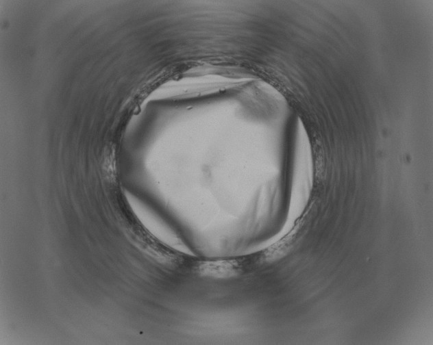 X0000073540179200608211904