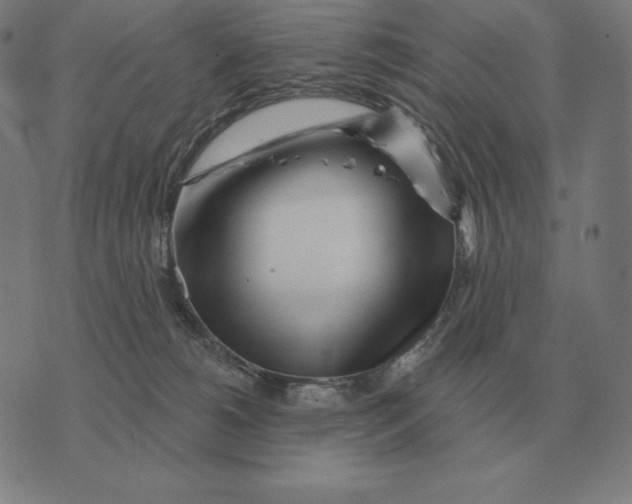 X0000073540180200608211904