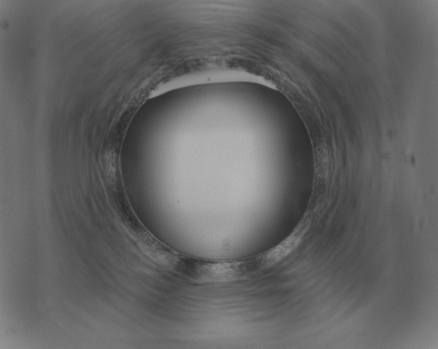 X0000073540184200608211904