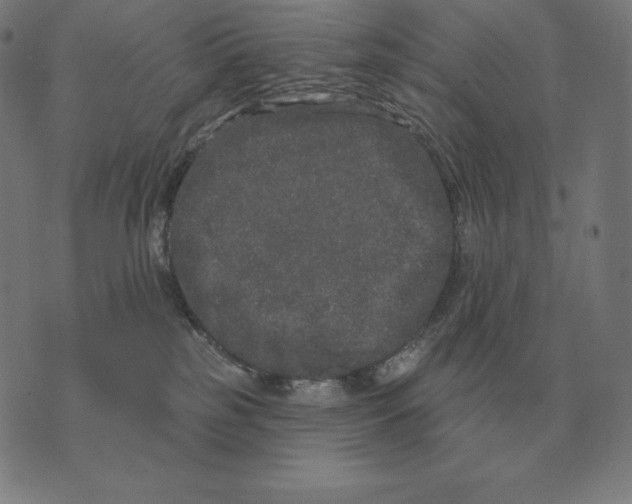 X0000073540185200608211904