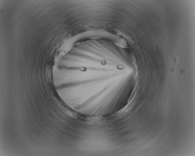 X0000073540192200608211904