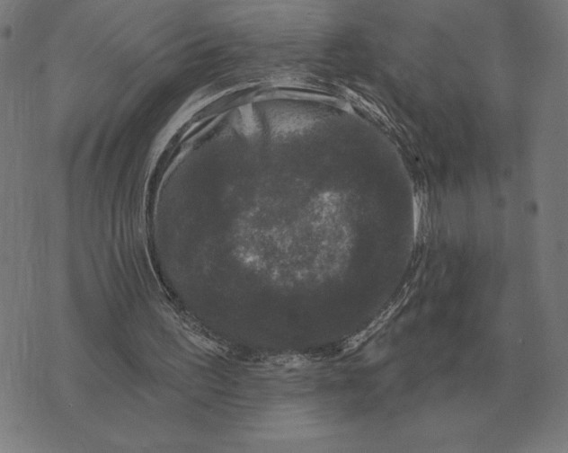 X0000073540195200608211903