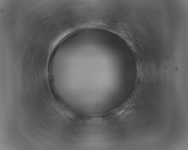 X0000073540196200608211903