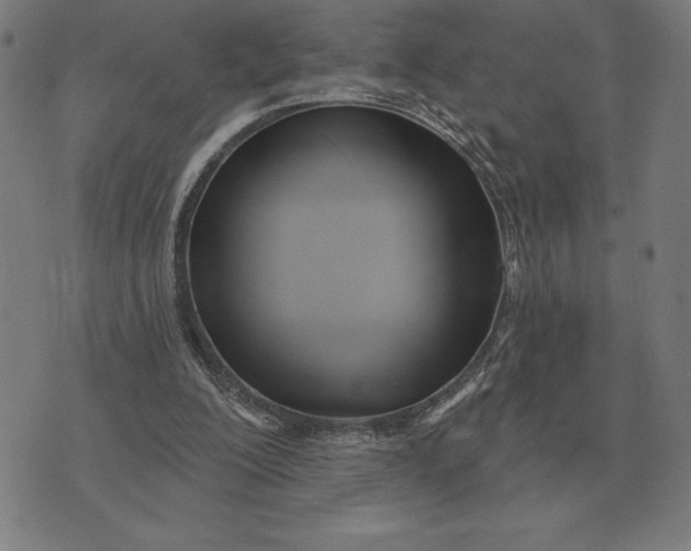 X0000073540200200608211903