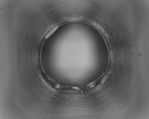 X0000073540201200608211903