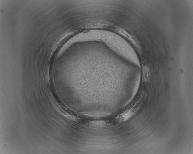 X0000073540203200608211903