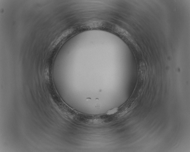 X0000073540212200608211903