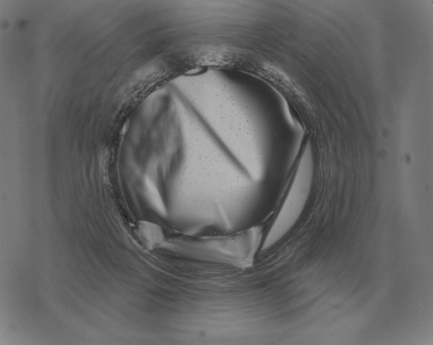 X0000073540217200608211903