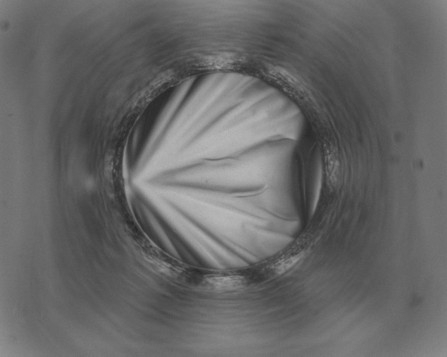 X0000073540221200608211903