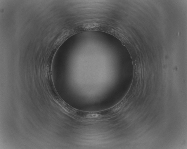 X0000073540227200608211903