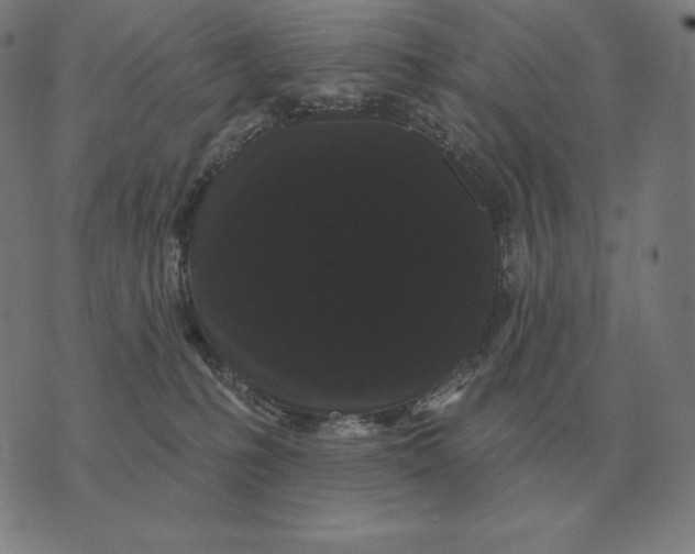X0000073540231200608211903