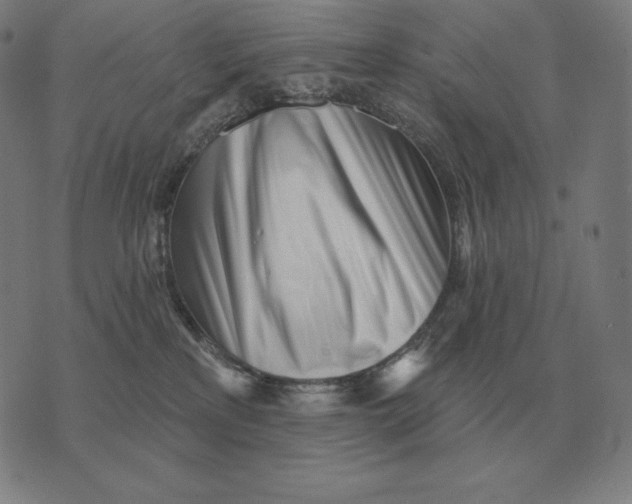 X0000073540233200608211902
