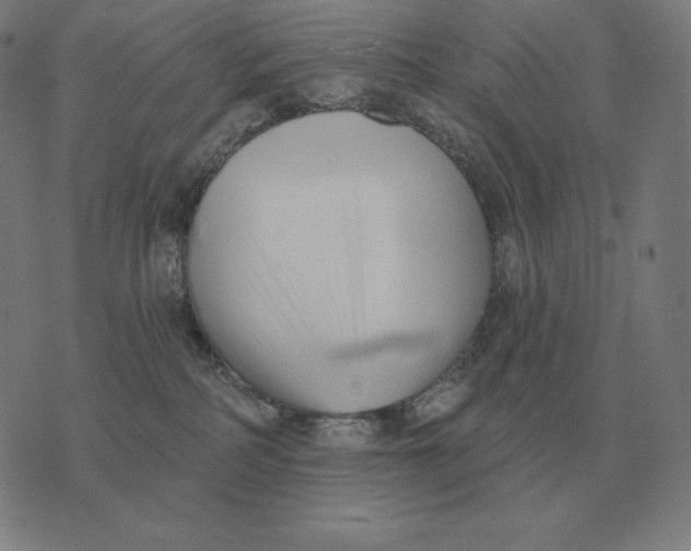 X0000073540234200608211902