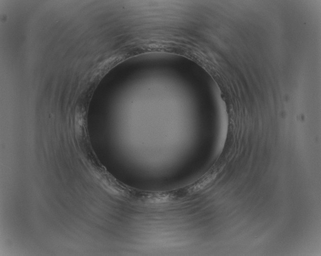 X0000073540235200608211902