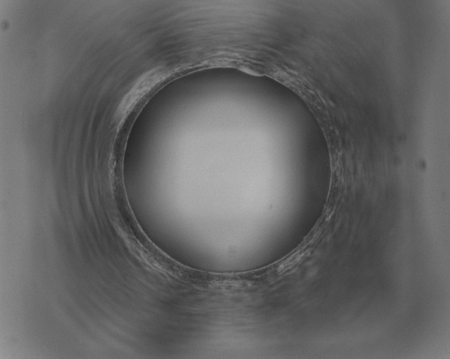 X0000073540242200608211902