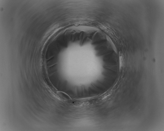 X0000073540243200608211902