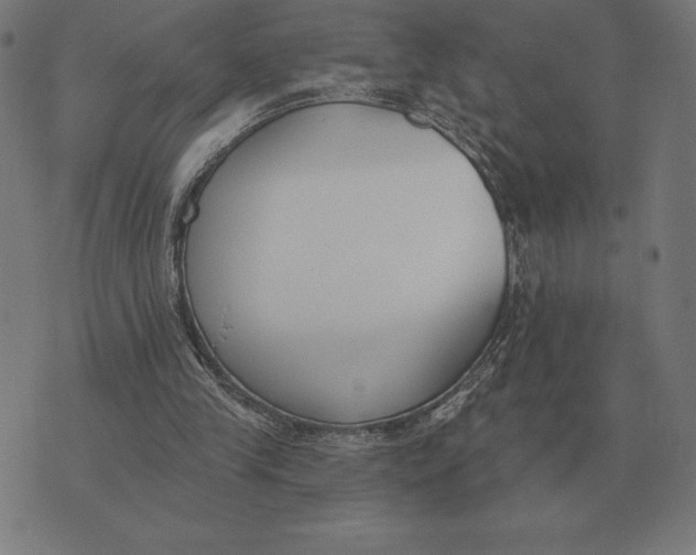 X0000073540245200608211902