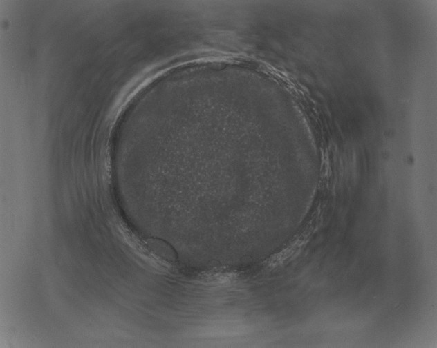 X0000073540247200608211902