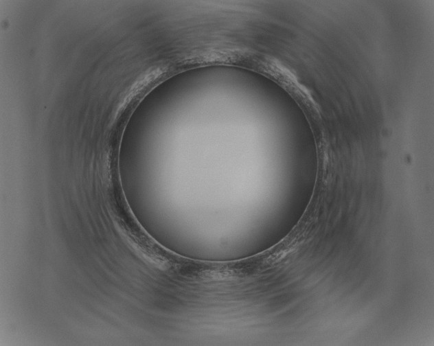 X0000073540250200608211902