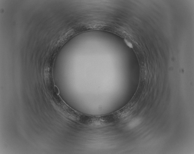 X0000073540263200608211902