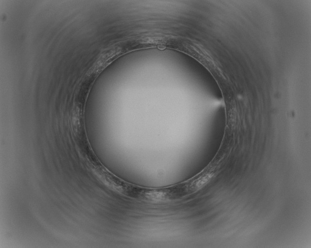 X0000073540265200608211902