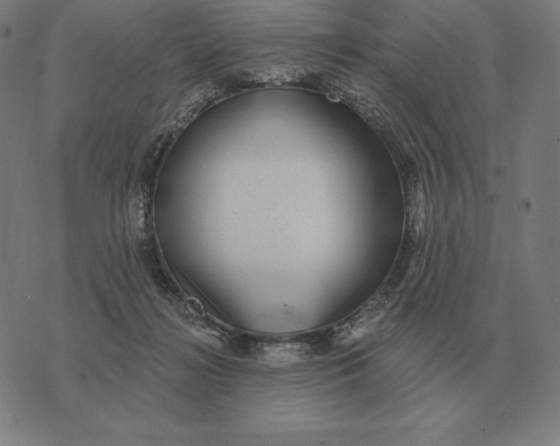X0000073540268200608211902