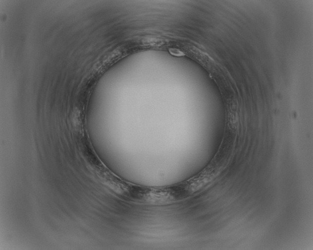 X0000073540270200608211902