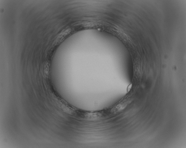 X0000073540277200608211902