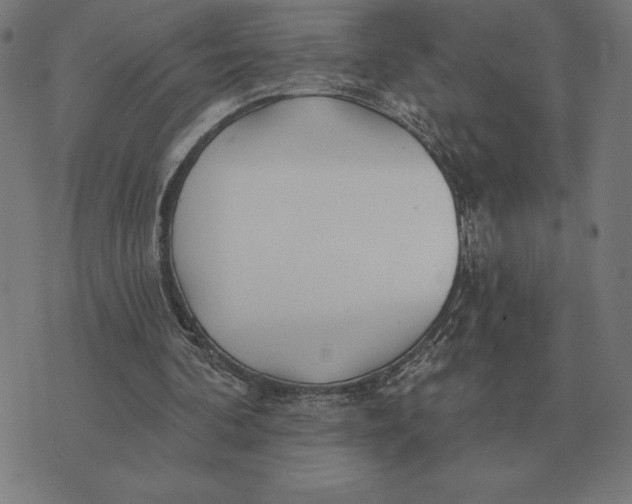 X0000073540292200608211902