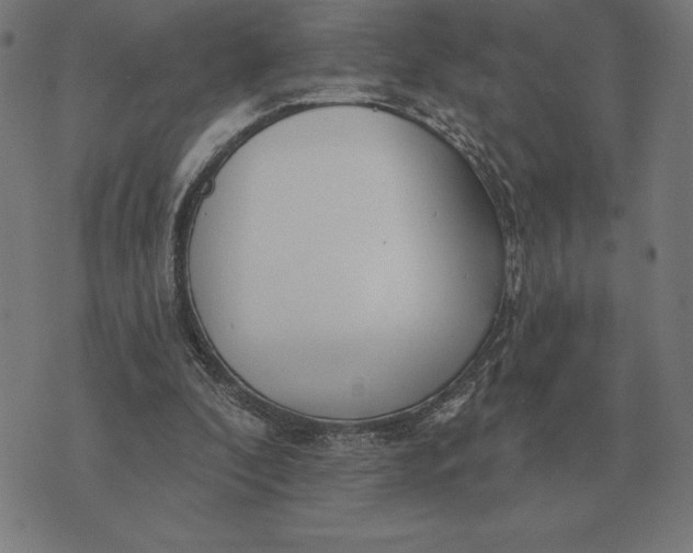 X0000073540296200608211901