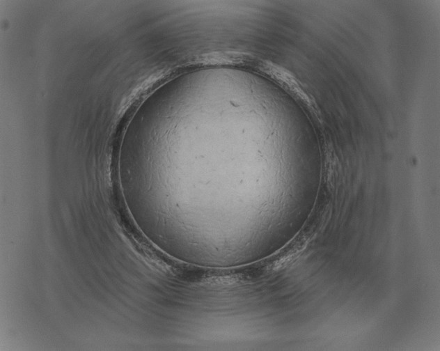 X0000073540299200608211901