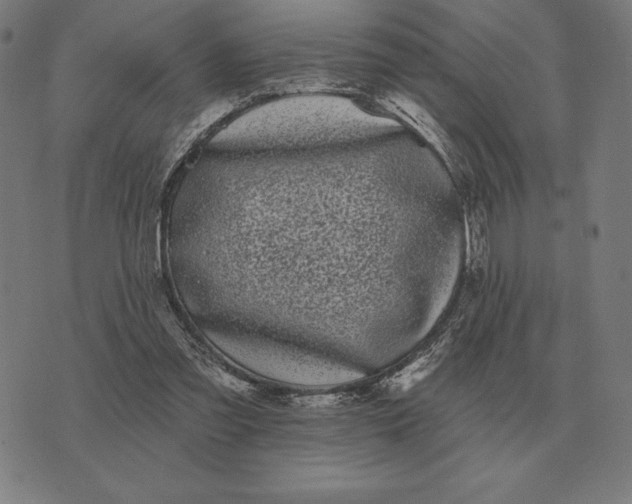 X0000073540301200608211901