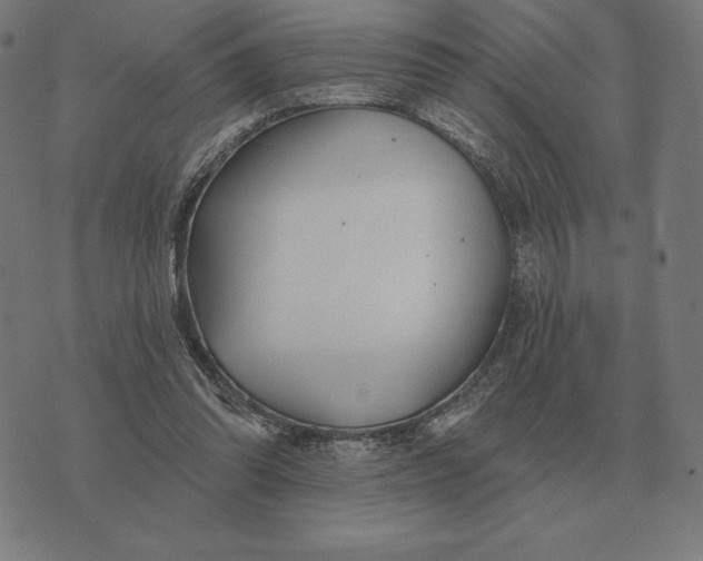 X0000073540302200608211901