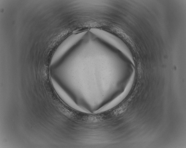 X0000073540305200608211901