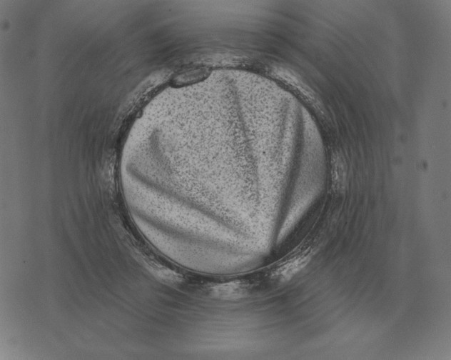 X0000073540309200608211901