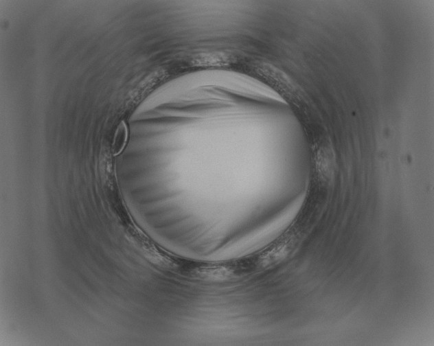 X0000073540322200608211901