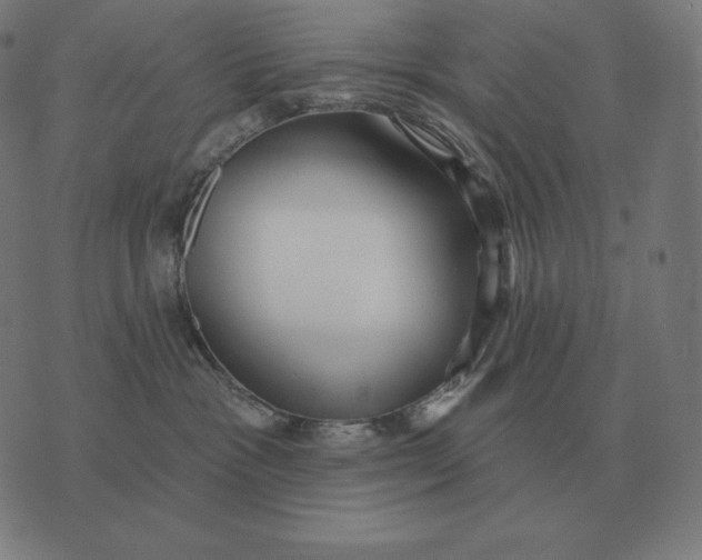 X0000073540333200608211901