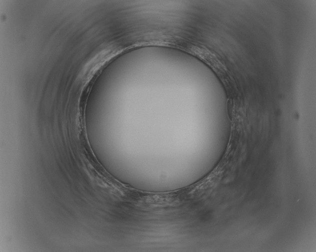 X0000073540338200608211900