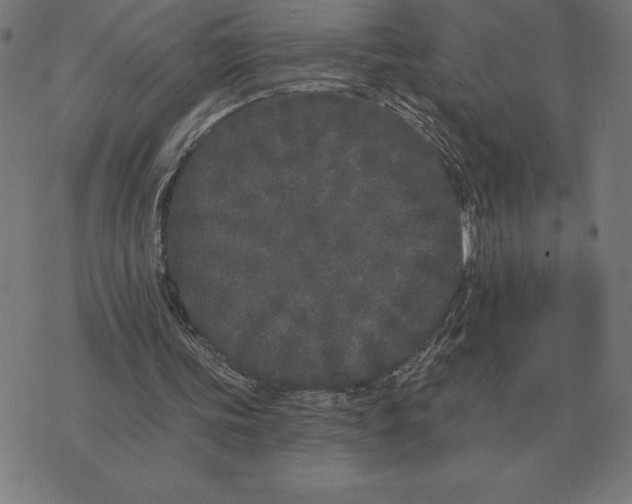 X0000073540339200608211900