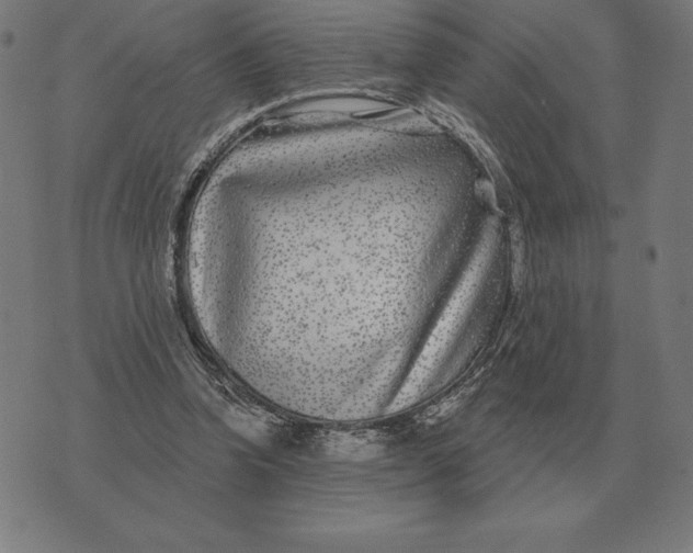 X0000073540346200608211900