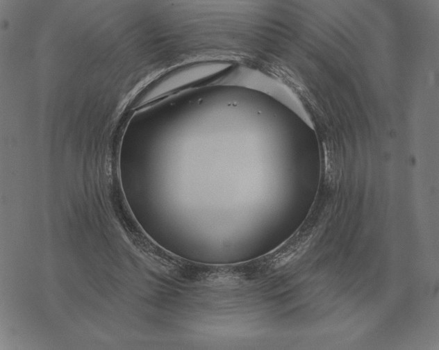 X0000073540348200608211900
