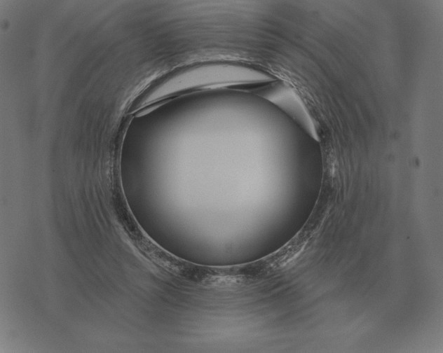 X0000073540352200608211900