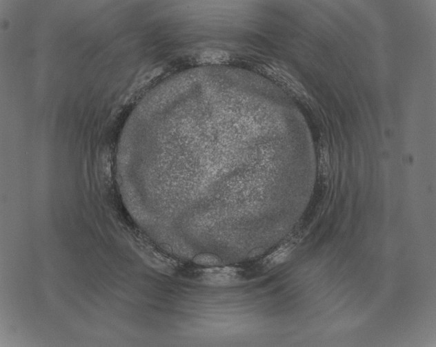 X0000073540363200608211900