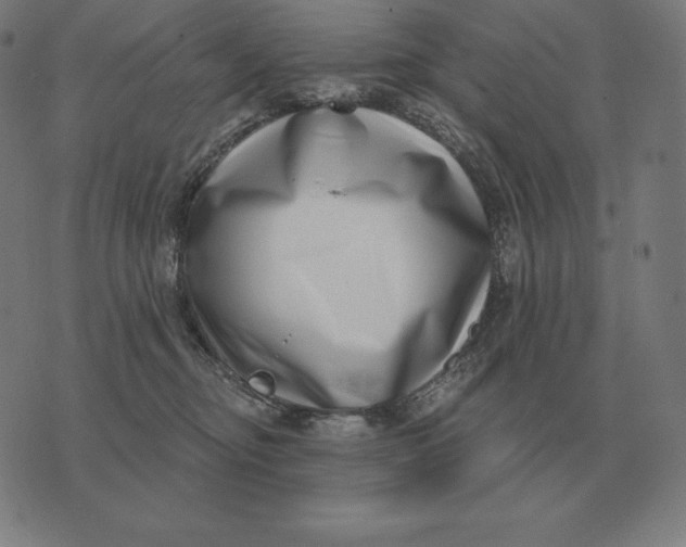 X0000073540374200608211901