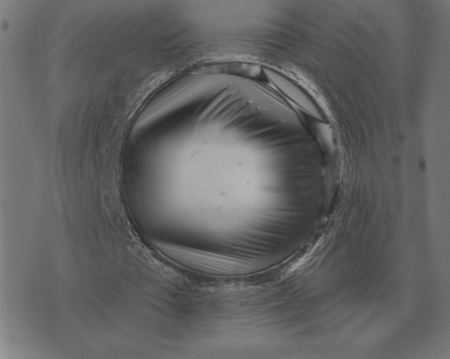 X0000073540385200608211900