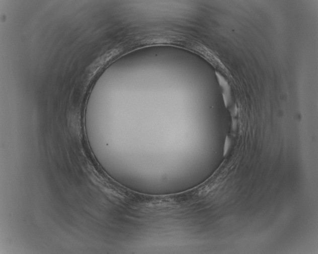 X0000073540386200608211900